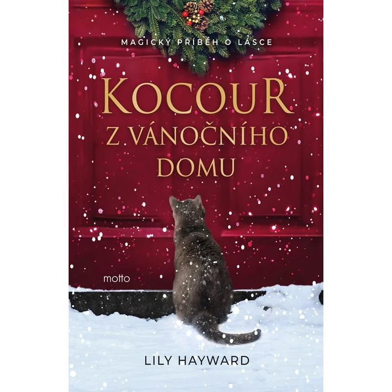 Kocour z vánočního domu