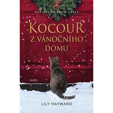 Kocour z vánočního domu