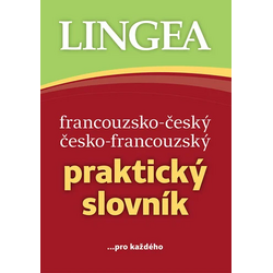 Francouzsko-český...