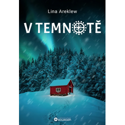 V temnotě