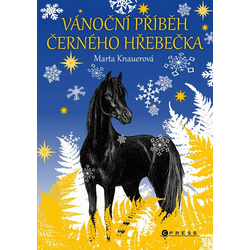 Vánoční příběh černého...