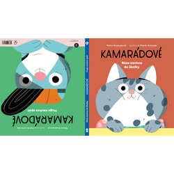 Kamarádové: Róza nechce do...