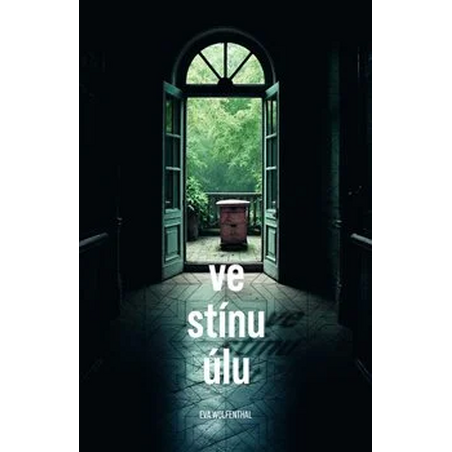 Kniha o umělé inteligenci: Od středověkých robotů k neuronovým sítím