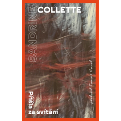 Přišla za svítání