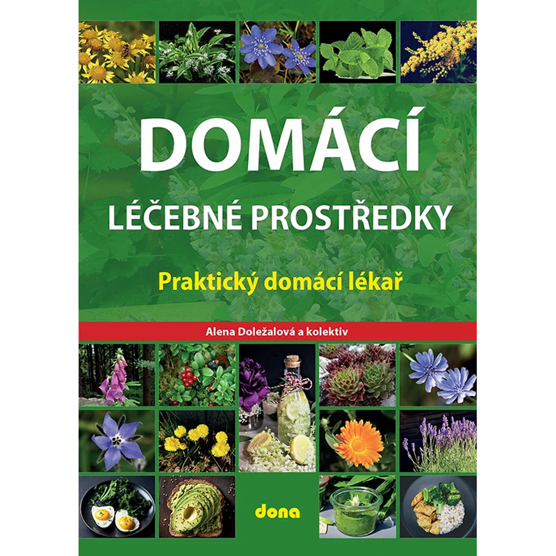 Domácí léčebné prostředky – Praktický domácí lékař