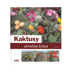 Kaktusy - Otrněná krása